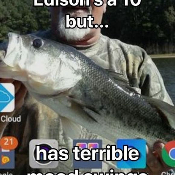 Meet your Posher, Edison - Picture 1 of 1